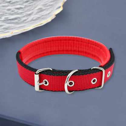 Collar de Nylon Ajustable 🐕 – Anilla de Enganche Resistente para Perros