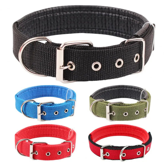 Collar de Nylon Ajustable 🐕 – Anilla de Enganche Resistente para Perros