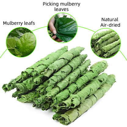 Hojas de Morera Deshidratadas 🌿 – Snack Natural para Desgaste Dental de Conejos y Hámsters