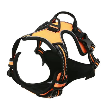 Set de Collar, Arnés y Correa de Piel 🐕 – Para Perros Pequeños y Medianos