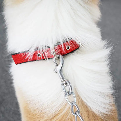 Collar de Nylon Ajustable 🐕 – Anilla de Enganche Resistente para Perros