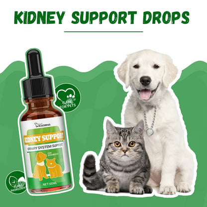 Suplemento Yegbong 💧 – Función Renal, Energía y Vitalidad para Gatos y Perros