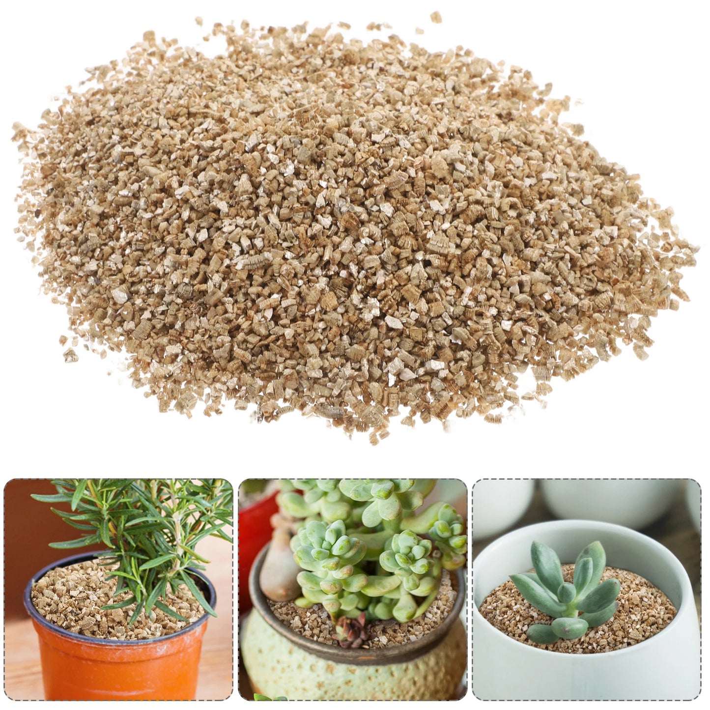 Vermiculita 3L - Sustrato de Cultivo para Plantas, Terrarios y Hongos