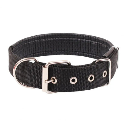 Collar de Nylon Ajustable 🐕 – Anilla de Enganche Resistente para Perros