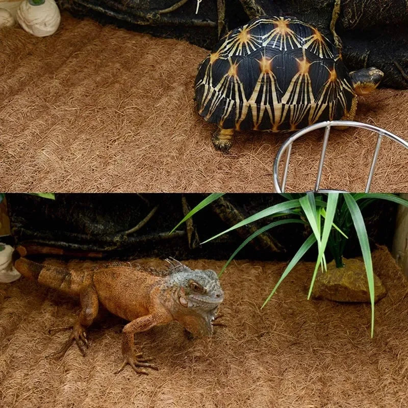 Alfombra de Fibra de Coco Natural para Terrario - Sustrato Decorativo para Lagartos, Tortugas y Geckos