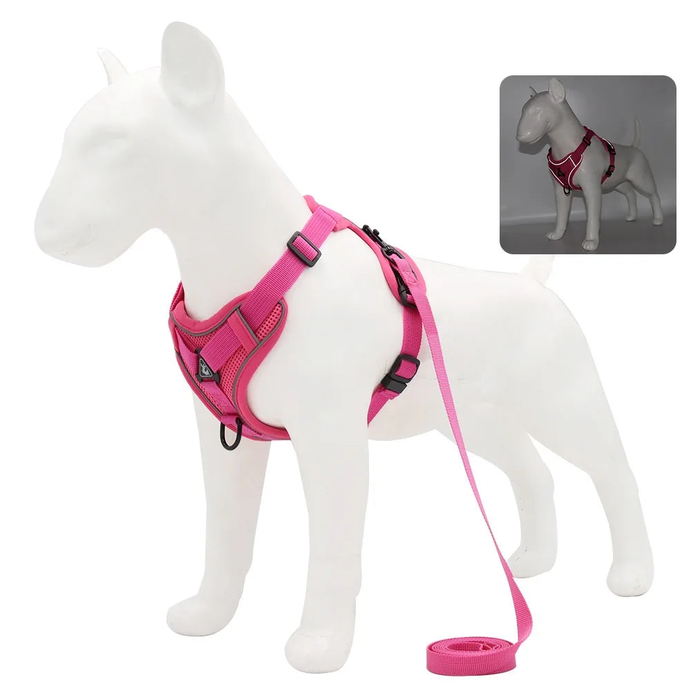 Set de Arnés y Correa para Perros Pequeños y Cachorros