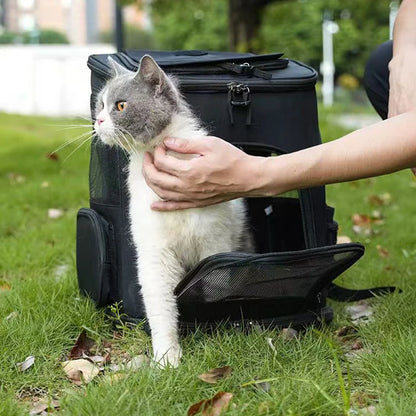 Mochila Transportín Expandible 🎒 – Malla Transpirable para Gatos y Perros Hasta 8 kg