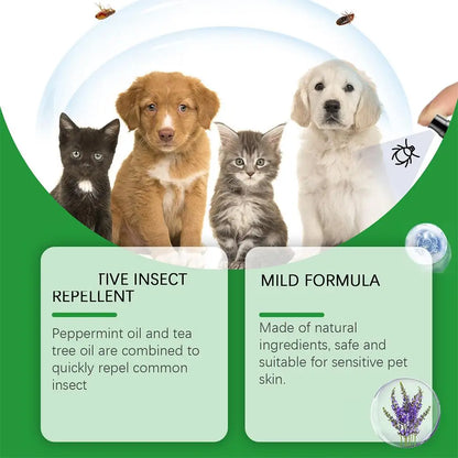 Spray Antipulgas y Garrapatas 🛡️ – Para Perros y Gatos (100 ml)
