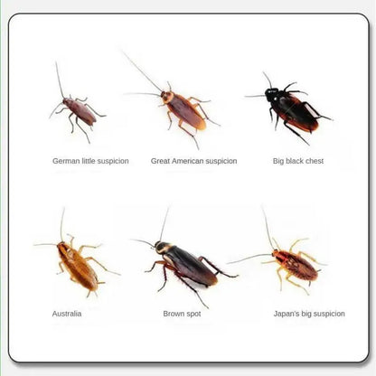 Cebo en Polvo Matacucarachas 🪳 – Trampa Insecticida para Uso Doméstico