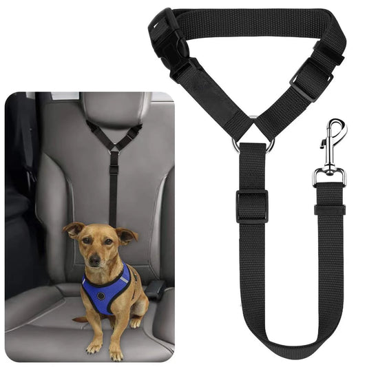 Cinturón de Seguridad 2 en 1 🚗 – También Funciona como Correa para Perros
