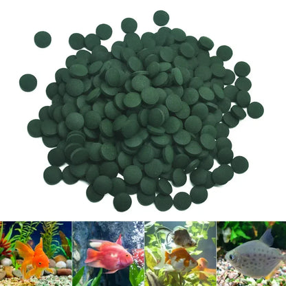 Tabletas de Espirulina de Alta Pureza 🌿 – Para Peces y Camarón Cristal Rojo
