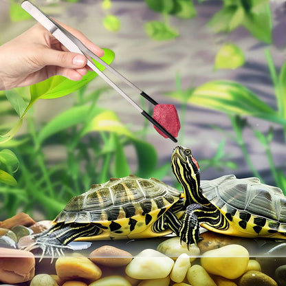 Pinzas Antideslizantes de Acero Inoxidable para Acuario - Punta Curva para Alimentar Reptiles