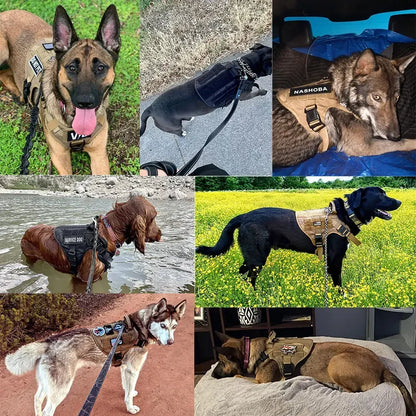 Arnés Táctico Militar 🎖️ – Bolsillos Molle, Incluye Correa y Collar para Perros