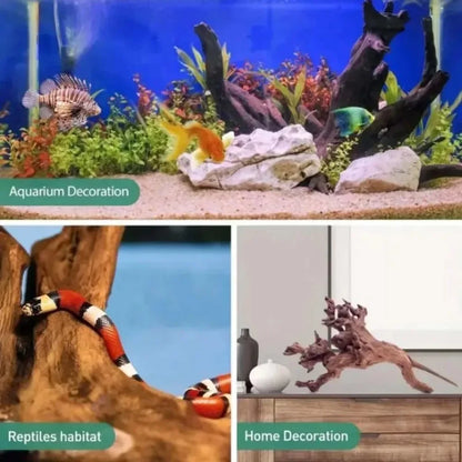Madera Natural Hundible 🌿 – Decoración de Plantas Acuáticas