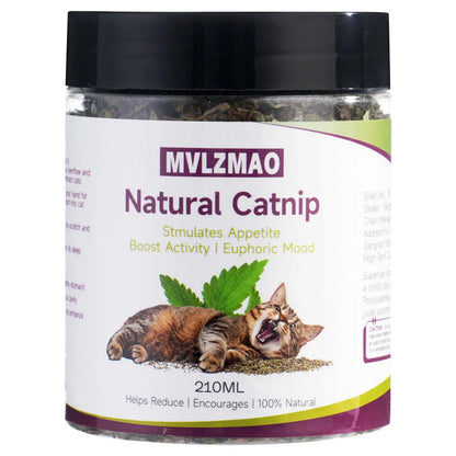 Hierba Gatera Natural (Catnip) 🌿 – 100% Segura para Juguetes y Accesorios de Gatos
