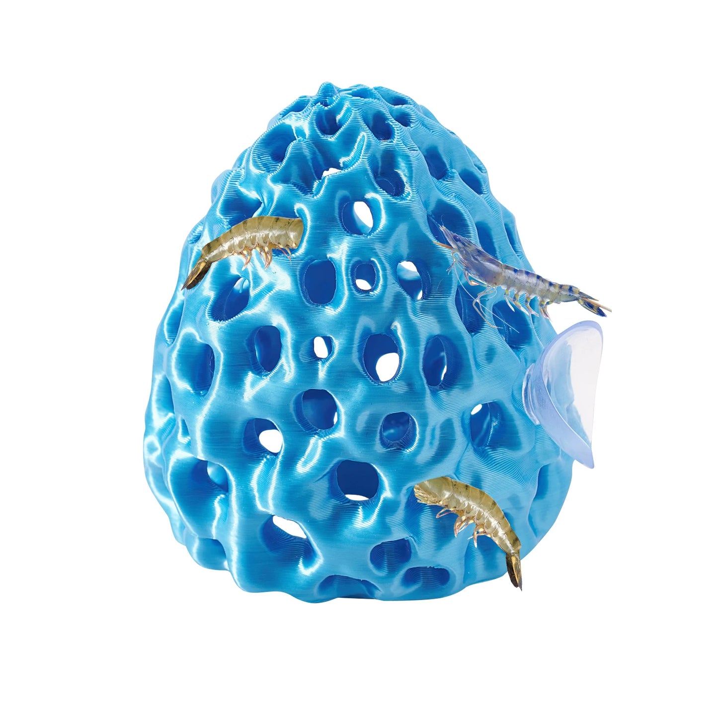 Escondite para Camarones y Peces Betta con Ventosa - Decoración de Acuario