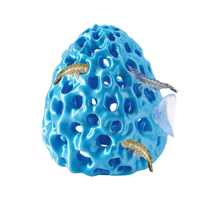 Escondite con Ventosa 🐠 – Para Camarones y Peces Betta