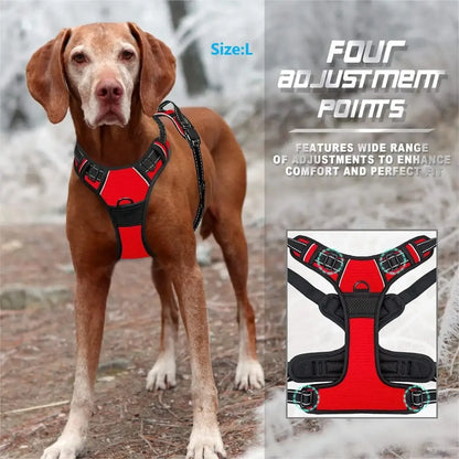 Set de Collar, Arnés y Correa de Piel 🐕 – Para Perros Pequeños y Medianos