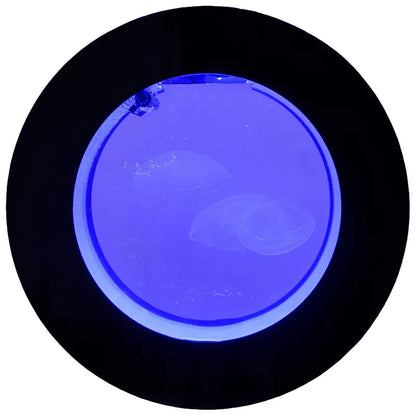 Pecera Acrílica de Medusas 🎐 – Acuario Redondo de Sobremesa (8L/18L/50L)