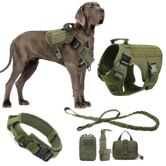 Arnés Táctico Militar 🎖️ – Bolsillos Molle, Incluye Correa y Collar para Perros