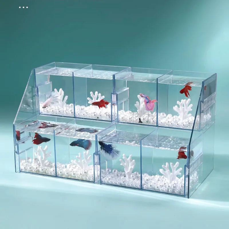 Pecera Acrílica Multi-compartimento para Peces Betta - Acuario de Sobremesa Transparente DIY