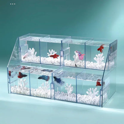 Pecera Acrílica Multi-compartimento 🐠 – Acuario DIY de Sobremesa para Peces Betta