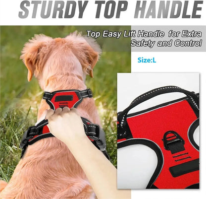 Set de Collar, Arnés y Correa de Piel 🐕 – Para Perros Pequeños y Medianos