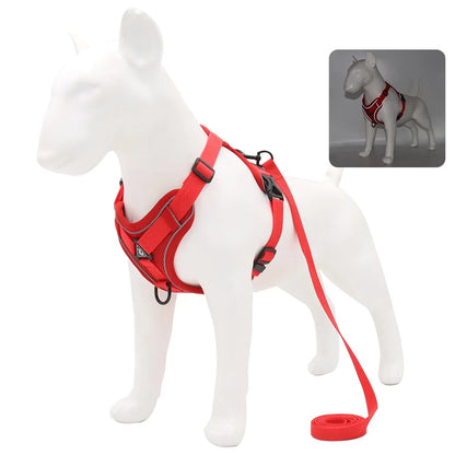 Set de Arnés y Correa 🐶 – Ideal para Perros Pequeños y Cachorros