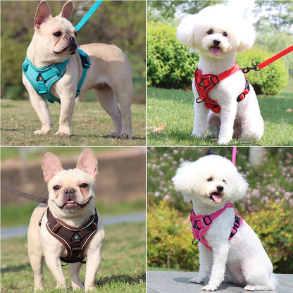 Set de Arnés y Correa 🐶 – Ideal para Perros Pequeños y Cachorros
