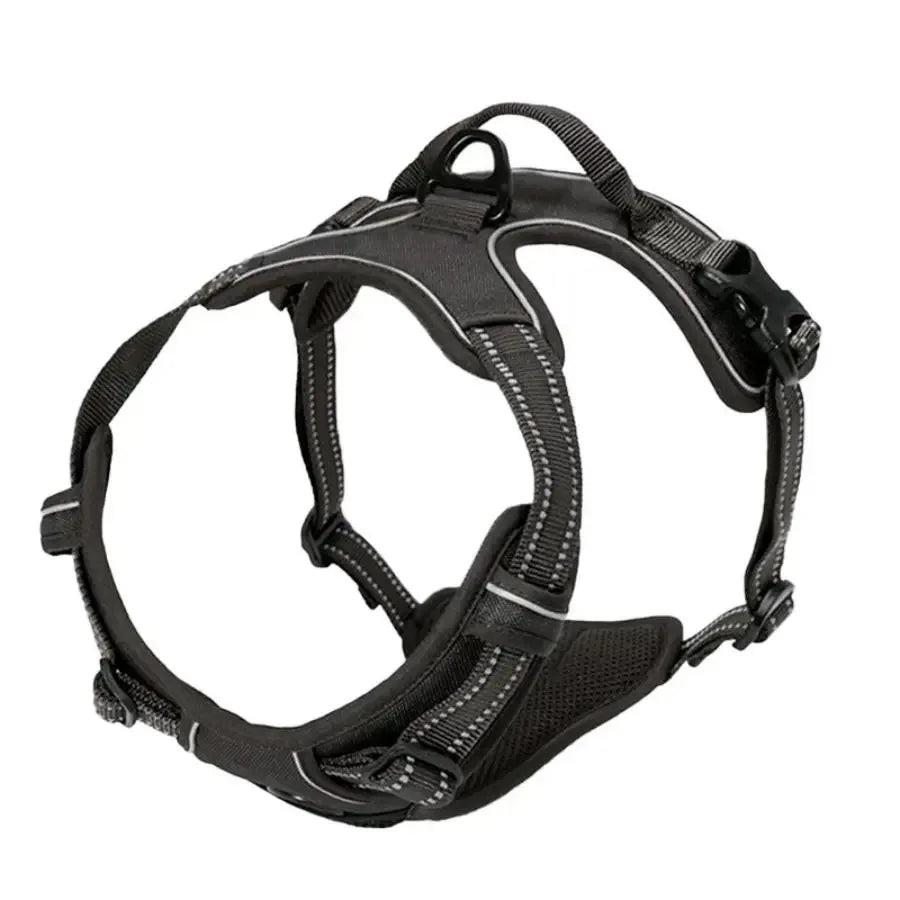 Set de Collar, Arnés y Correa de Piel para Perros Pequeños y Medianos