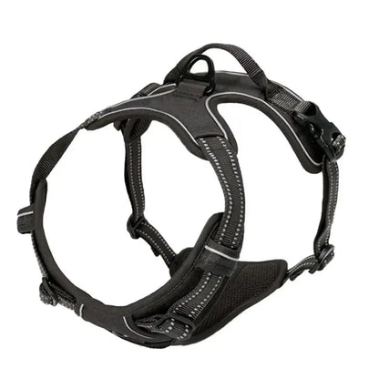 Set de Collar, Arnés y Correa de Piel 🐕 – Para Perros Pequeños y Medianos