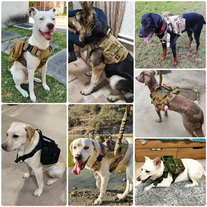 Arnés Táctico Militar 🎖️ – Bolsillos Molle, Incluye Correa y Collar para Perros