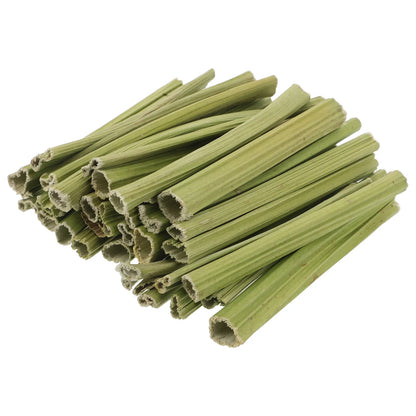 Palitos de Tallo de Papaya Deshidratado 🌿 – Snack Masticable para Conejos, Hámsters y Cobayas (100 g)